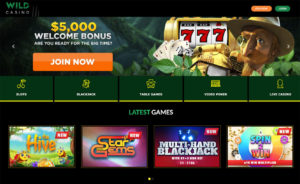 Capture d'écran de la page d'accueil de Wild Casino avec Bannière de Bonus de Bienvenue