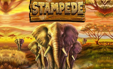 Logo du Stampede