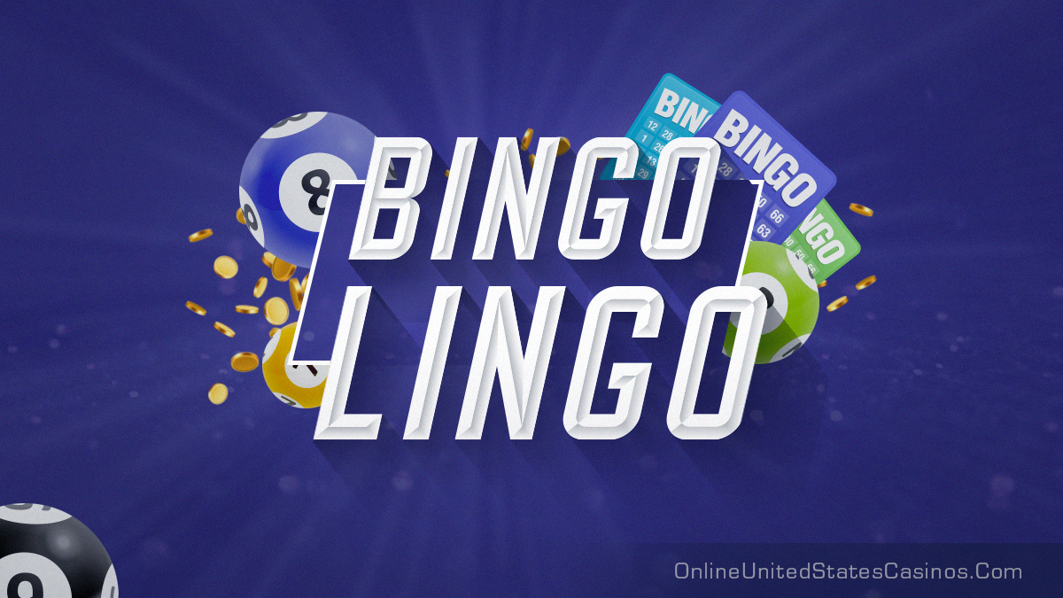 Bingo Lingo