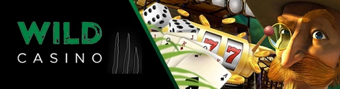 Logo d'en-tête de Casino sauvage