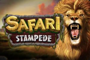 Logo du Safari Stampede