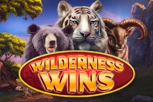 Wilderness Wins Logo