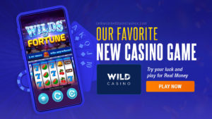 Nouveau Jeu De Casino Wilds Of Fortune En-Tête